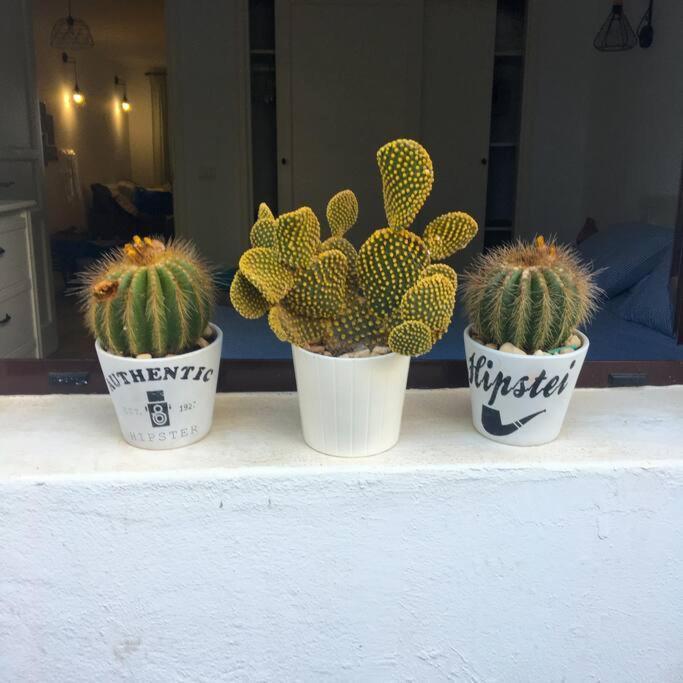 Vivienda Vacacional Cactus Costa Teguise Extérieur photo